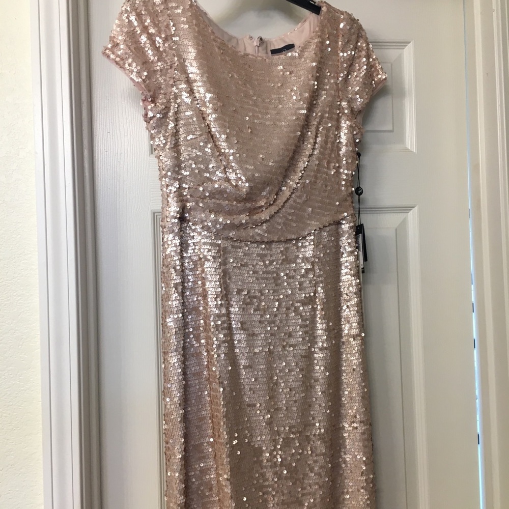 Blush pink sequin dress-Adrianna Papell